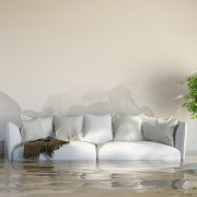 Flood risk