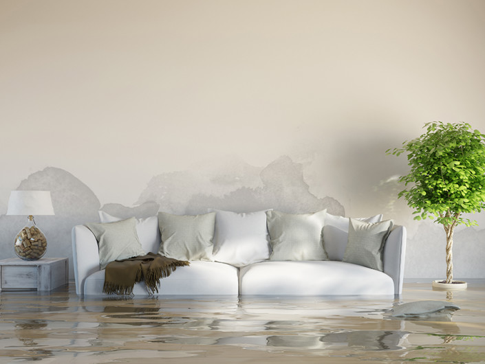 Flood 2 Flood risk